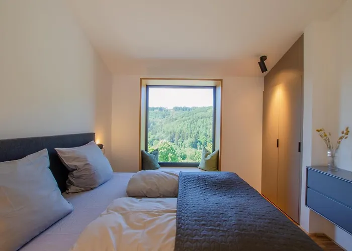 Sauerland - Haus X Hébergement de vacances